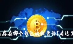 “狗狗币该存在哪个钱包