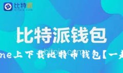 如何在iPhone上下载比特币