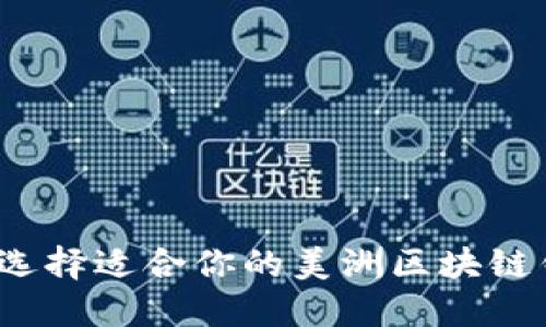 如何选择适合你的美洲区块链钱包？