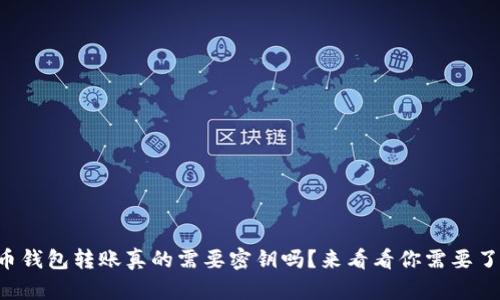 比特币钱包转账真的需要密钥吗？来看看你需要了解的！