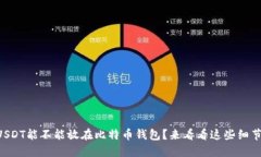 USDT能不能放在比特币钱包