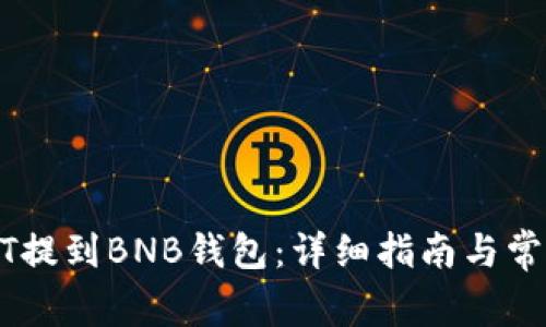 如何将USDT提到BNB钱包：详细指南与常见问题解答