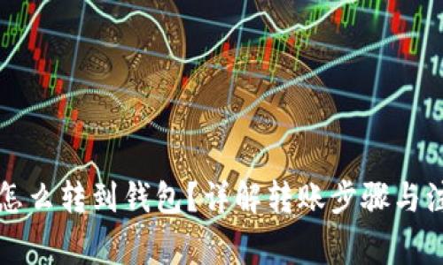 瑞波币怎么转到钱包？详解转账步骤与注意事项