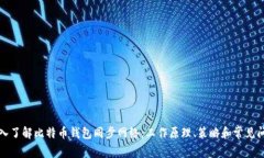 深入了解比特币钱包同步