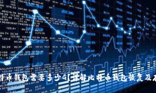 恢复比特币钱包需要多少G？详解比特币钱包恢复及存储需求