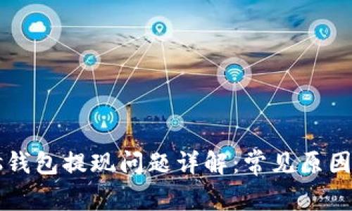 比特币Plus钱包提现问题详解：常见原因与解决方法