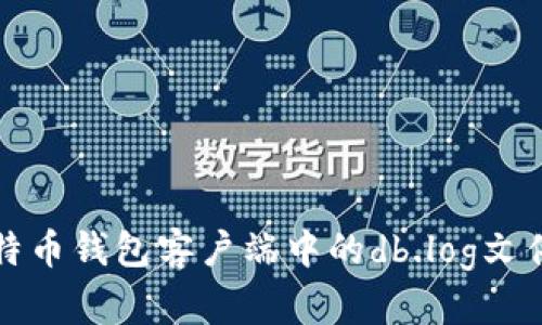 深入解析比特币钱包客户端中的db.log文件及其重要性