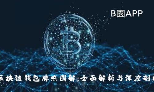 区块链钱包牌照图解:全面解析与深度剖析