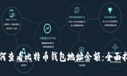 如何查看比特币钱包地址余额:全面指南