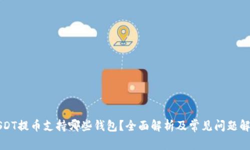 USDT提币支持哪些钱包?全面解析及常见问题解答