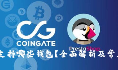 USDT提币支持哪些钱包?全面解析及常见问题解答