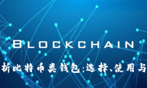 全面解析比特币类钱包:选择、使用与安全性