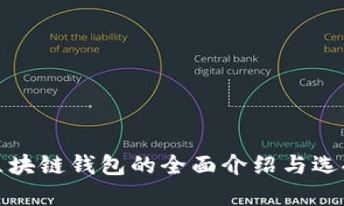 各大区块链钱包的全面介绍与选择指南
