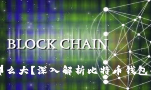 为什么比特币钱包那么大？深入解析比特币钱包的大小及其影响因素