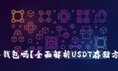 USDT可以放入钱包吗？全面