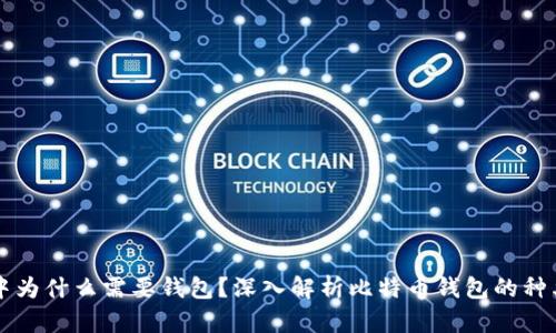 比特币交易中为什么需要钱包？深入解析比特币钱包的种类与使用方法