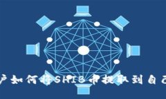 中国用户如何将SHIB币提取