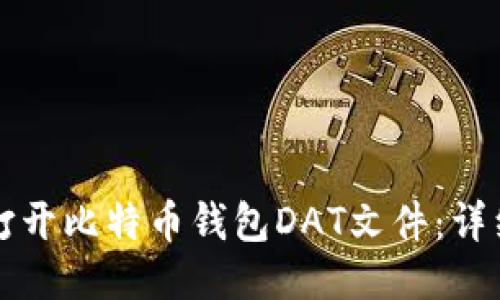 如何打开比特币钱包DAT文件：详细指南