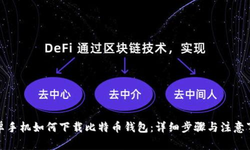安卓手机如何下载比特币钱包：详细步骤与注意事项