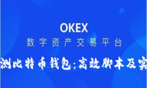 如何监测比特币钱包：高效脚本及实用技巧