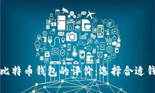 全面解析比特币钱包的评价：选择合适钱包的指南