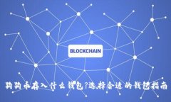 狗狗币存入什么钱包?选择