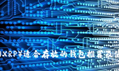 瑞波币（XRP）适合存放的钱包推荐及使用指南