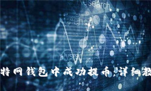 如何在比特网钱包中成功提币：详细教程与指南