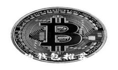 支持USDT的钱包推荐与使用